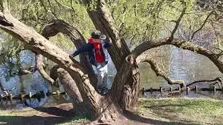 Park