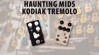 JHS Pedals Haunting Mids and Kodiak Tremolo