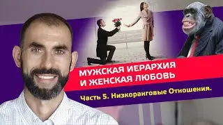 Мужская Иерархия и Женская Любовь. Часть 5. Низкоранговые отношения.    #любовь #отношения #мужчина