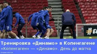 Фрагмент тренировки «Динамо» в Копенгагене («Копенгаген» — «Динамо», день до матча)