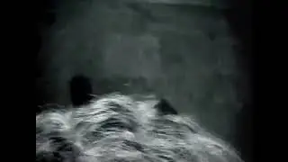 ЗС (Зеленый слоник) Спят суки блять.. а я не спи, да?