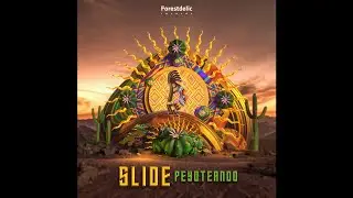 Slide - Musicantiphona