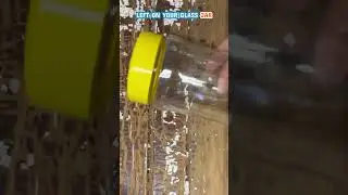 Perfect Label Peel! Works Every Time 📦