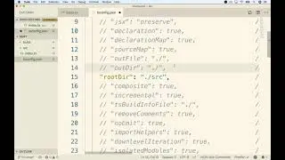 Typescript Guide - Lesson 71  Configuring the TS Compiler