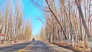 Uyghur People - Tar Kocha