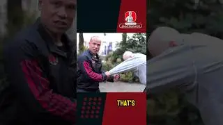 Basic and simple Wing Chun technique ￼