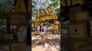 A tiger escapes from the zoo 😱
