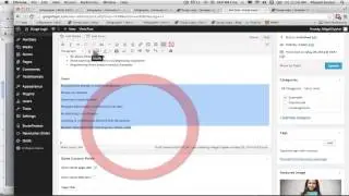 Add a new blog post in wordpress