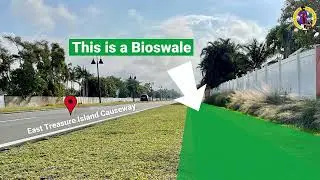 What are Bioswales and Their Benefits - City of Treasure Island Informative Video
