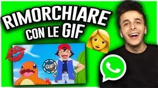 RIMORCHIARE SU WHATSAPP USANDO SOLO GIF