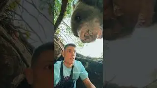 MOST Terrifying moment change into lovely moment 😍