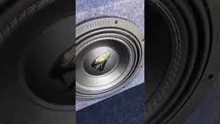 Dl Audio Anaconda 12