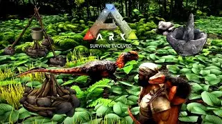 Important Crafting Tools and Getting a Dilophosaurus - Ep. 2 - How to Start in Ark: Survival Evolved
