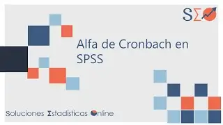 6 | Coeficiente Alfa de Cronbach en SPSS |