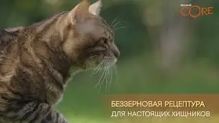 Wellness Core для кошек