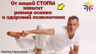 РОВНАЯ ОСАНКА И ЗДОРОВЫЙ ПОЗВОНОЧНИК ЭТО ХОРОШО-ПРОРАБОТАННЫЕ СТОПЫ?