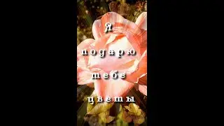 Я подарю тебе цветы