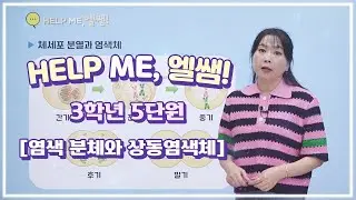 헬프미 엘쌤 : 염색분체 & 상동염색체