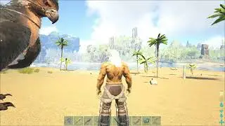 how to fix User slot item not working on pc ASE
