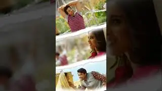 Dil jhoom status|gadar 2 song status|full screen status video