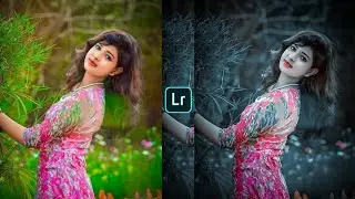 Blue grey effect Lightroom photo editing || Preset download free
