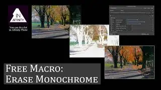 Free Macro: Erase Monochrome (in Affinity Photo)