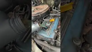 Газель тоже хочет кушать 