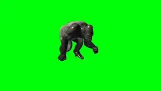 Gorilla // Green screen gorilla // gorilla run // Running gorilla // Gorilla running // gorilla turn