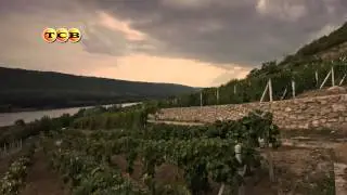 Рыбница