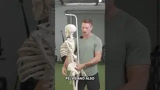 The Best Tight Psoas Release #psoas #backpain #lowbackpain #stretching