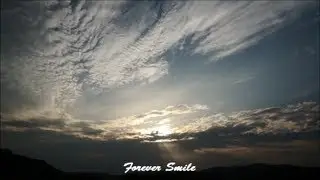 346 ☆forever smile☆