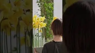 Цветочный апокалипсис — оформление в стиле The Last Of Us 😱 