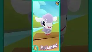With softest clothing wooly bright, PET LAMBS are here!