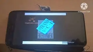 Reversed Video Idents Inverted x4 Fast