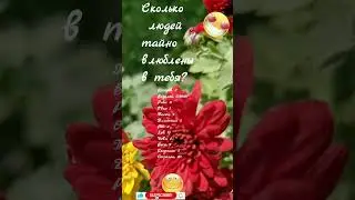 Сколько людей тайно влюблены в тебя? Чрезвычайная привлекательность знаков.