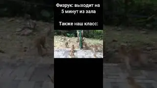 Когда физрук вышел на 5 минут:
