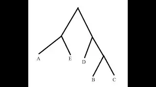 Finding the Distance Matrix for Constructing a Phylogenetic Tree