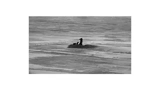 St. Tropez - How Do You Like Me Now