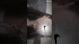 Кринж. Думаю что не залетит😭😮‍💨 сама себе лайкну.