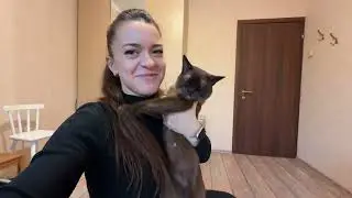 Знакомство. Поездка на дачу, кастрация Стёпы