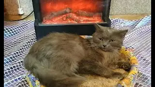 Мальчик Чуви