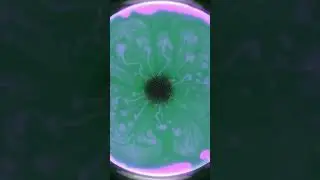 Most Beautiful Ferrofluid Reaction #satisfying #ferrofluid #fluidart