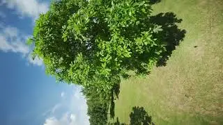 New spot - Betaflight 4.2 so good