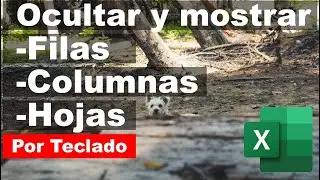 ¿Cómo ocultar y mostrar filas, columnas y hojas por teclado?