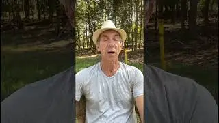 Одиночество.