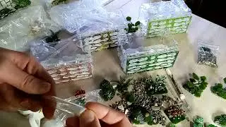 Обзор вертикальной фермы