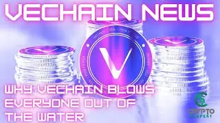 VECHAIN NEWS TODAY | VECHAIN PRICE PREDICTION 2021 | VET PRICE PREDICTION | Vechain News