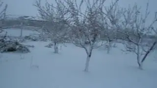 погода в апреле