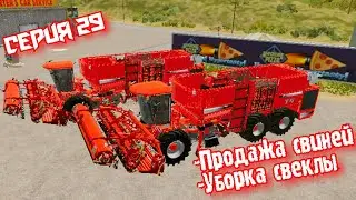 Уборка Свеклы//Продажа свиней//Farming Simulator 20