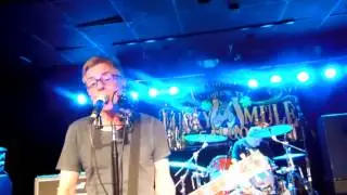 Toadies - Happy Face